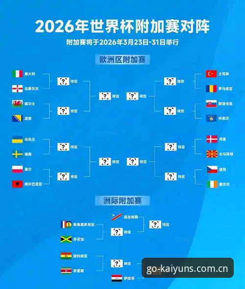 世界杯观赛体验全面评测：签证困局背后，一场